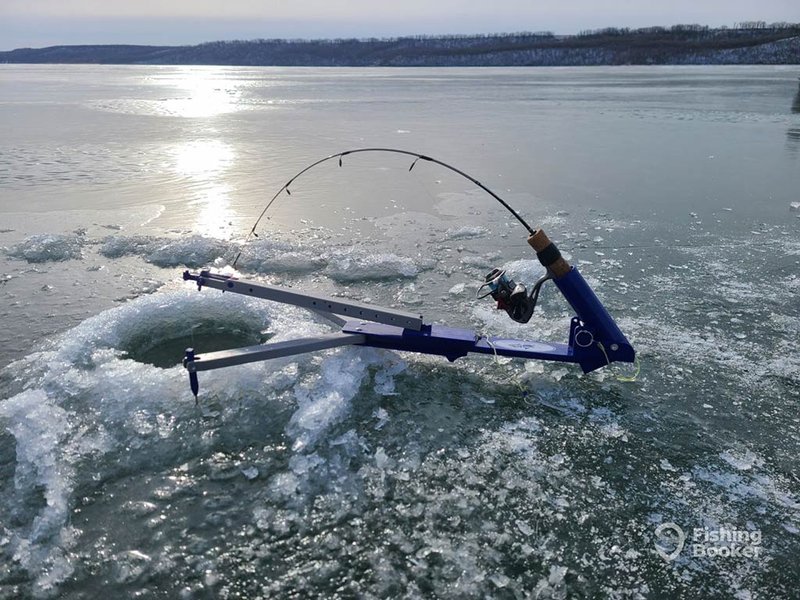 Catch the Big One This Winter in Canada's Ice Fishing Game Heaven, ice fishing online game