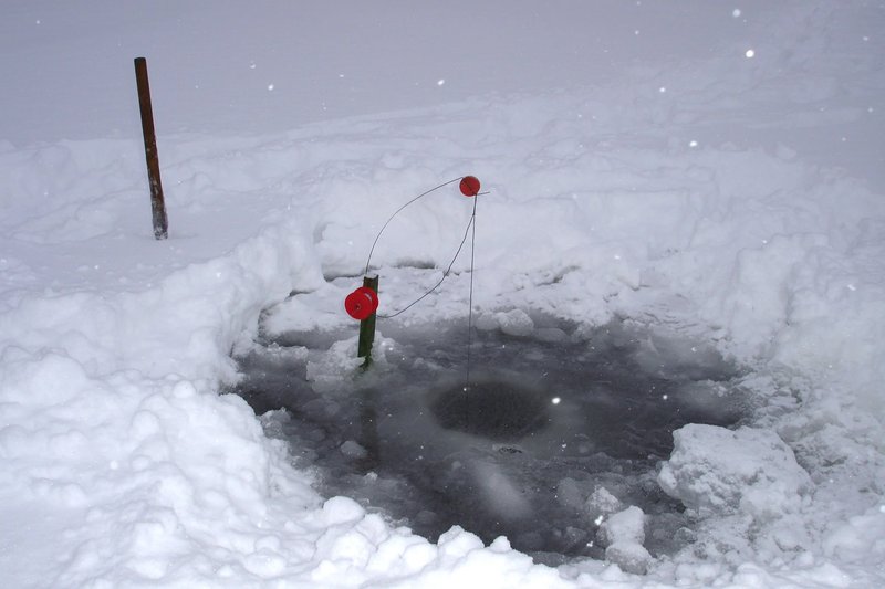 Image: Erfahren Sie die Geheimnisse des Eiskeilens: Ein Überblick über das beliebte